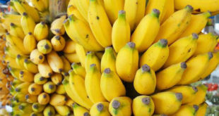 Banano colombiano llega a Dubái a conquistar nuevos mercados