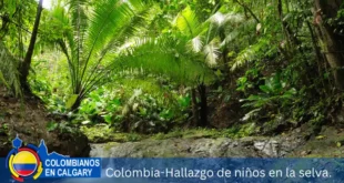 Colombia-Hallazgo-de-niños-en-la-selva.