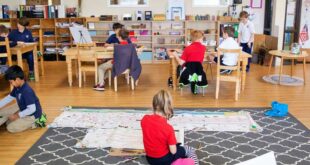 Montessori Unveiled: How the Method Promotes Inclusive and Diverse Learning